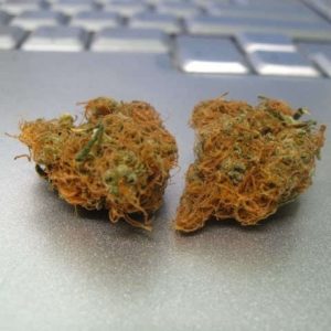 Buy Nova Weed (www.bluedreams.com)
