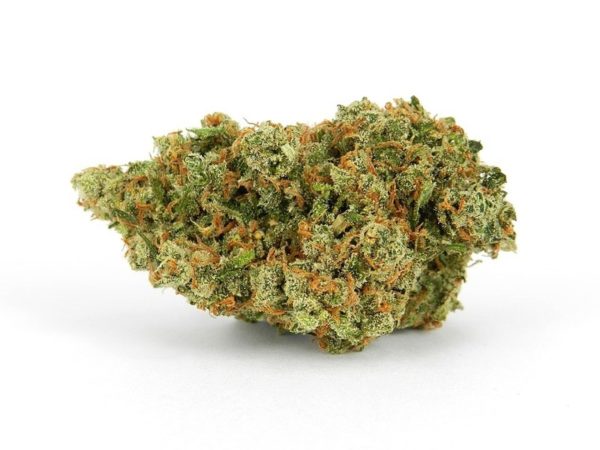 Buy Jack Herer Weed (www.bluedreams.com)
