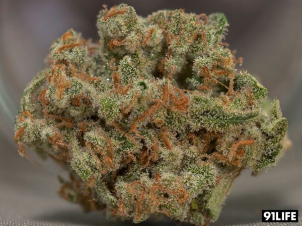 Trainwreck weed for sale