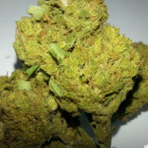 g13-weed-price