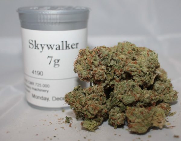 Buy Skywalker OG Weed Weed (www.bluedreams.com)