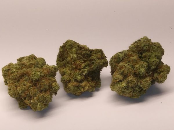 Buy SFV OG Weed Weed (www.bluedreams.com)