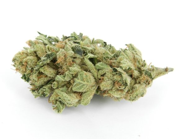 Buy OG Weed (www.bluedreams.com)