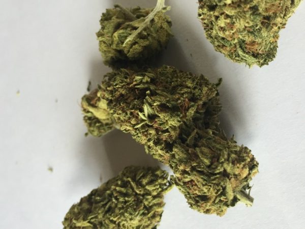 Buy Master Weed (www.bluedreams.com)