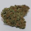 Buy Jack Herer Weed (www.bluedreams.com)