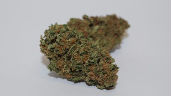 Buy marijuanam, kush, cannabis, cbd, thc, online store dispensary. www.bluedreamsdispensary.com Buy Jack Herer Weed (www.bluedreams.com)