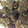 Buy marijuanam, kush, cannabis, cbd, thc, online store dispensary. www.bluedreamsdispensary.com Buy Holy Grail Weed (www.bluedreams.com)