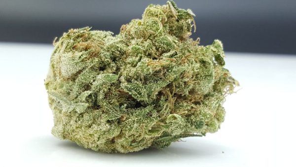 Buy marijuanam, kush, cannabis, cbd, thc, online store dispensary. www.bluedreamsdispensary.com Buy Green Crack Weed (www.bluedreams.com)