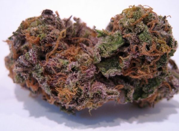 Buy marijuanam, kush, cannabis, cbd, thc, online store dispensary. www.bluedreamsdispensary.com Buy Grand Daddy Purple Weed (www.bluedreams.com)