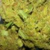 Buy G-13 Weed (www.bluedreams.com)