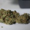 Buy marijuanam, kush, cannabis, cbd, thc, online store dispensary. www.bluedreamsdispensary.com Buy Death Star Weed (www.bluedreams.com)
