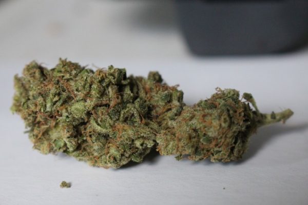 Buy Death Star Weed (www.bluedreams.com)