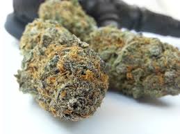 Buy marijuanam, kush, cannabis, cbd, thc, online store dispensary. www.bluedreamsdispensary.com
