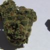 Buy marijuanam, kush, cannabis, cbd, thc, online store dispensary. www.bluedreamsdispensary.com Buy Alaskan Thunder Fuck Weed (www.bluedreams.com)