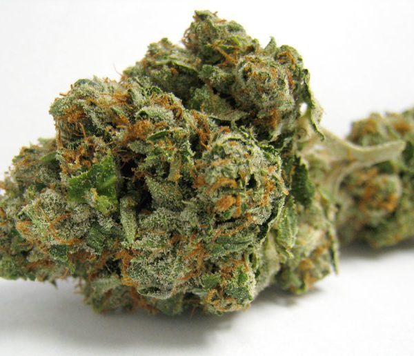 Buy marijuanam, kush, cannabis, cbd, thc, online store dispensary. www.bluedreamsdispensary.com