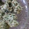white-widow-for-sale