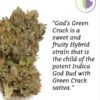 Buy God’s Green Crack Online from Blue Dreams – See God’s Green Crack Reviews 2