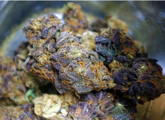 Buy marijuanam, kush, cannabis, cbd, thc, online store dispensary. www.bluedreamsmeds.com